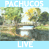 Audio: Skogie & the Flaming Pachucos - Live on Minnehaha Creek